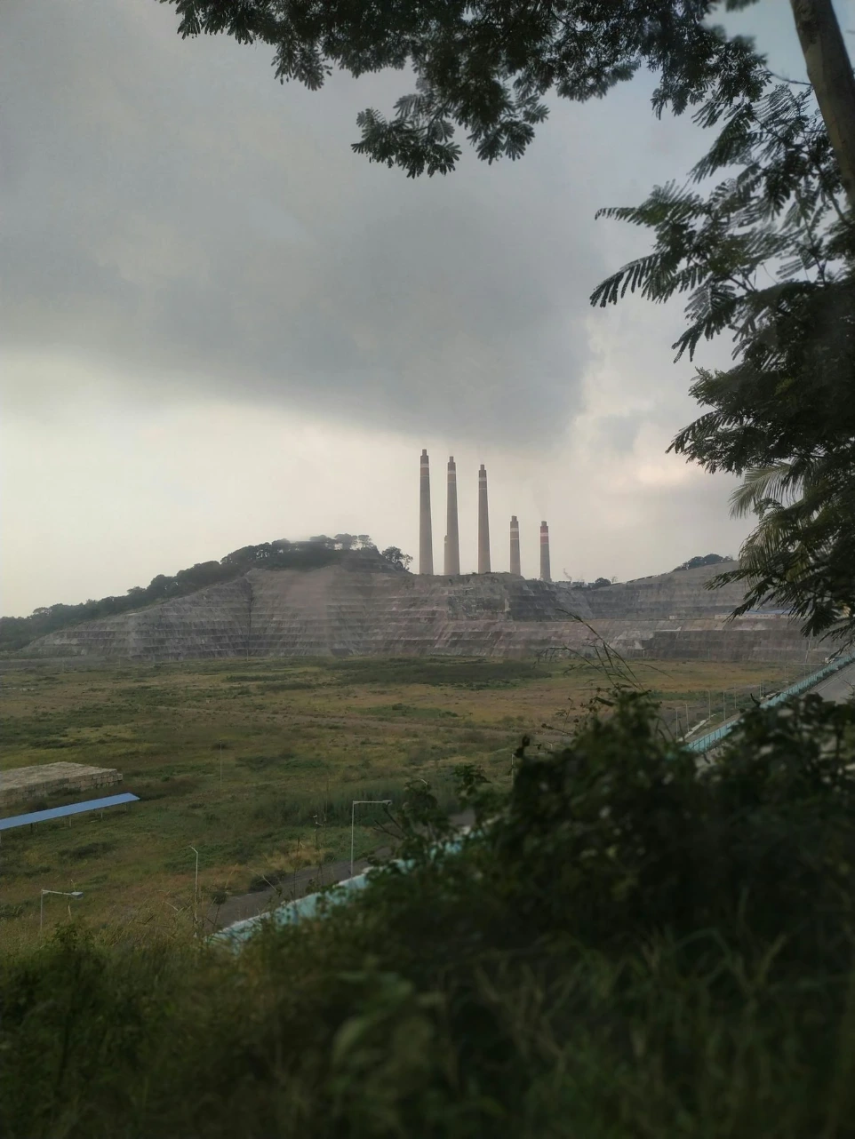green grass field under white sky during daytime